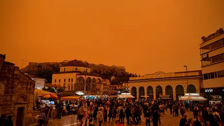 afrikaniki-skoni-athina