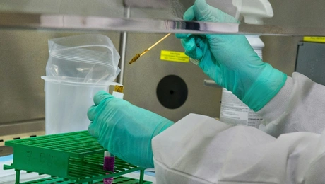 Έρευνα σε εργαστήριο