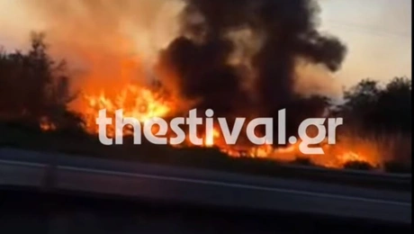 thessaloniki kammeno ohima