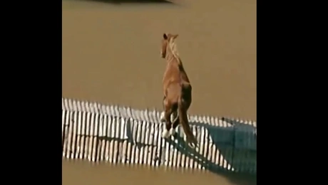 Πλημμύρες στη Βραζιλία