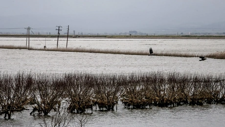 Λίμνη Κάρλα