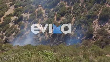 Φωτιά στην Εύβοια