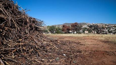 Οικόπεδο με συγκεντρωμένα ξύλα