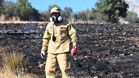 Πυροσβέστης