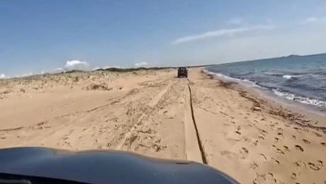 ammothines-paralies-strofyllia