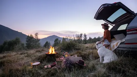camping with dog