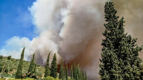 Φωτιά στην Εύβοια