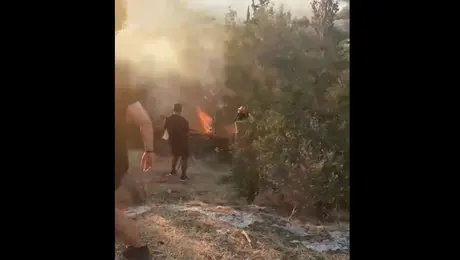 fotia-filopappou-kolonou