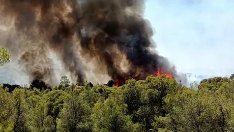 Φωτια σοφικο