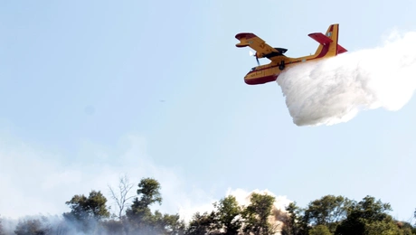 Φωτιά στη Δάφνη Νεμέας