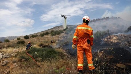 Φωτιά στην Εύβοια