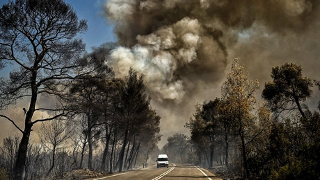 Φωτιά σοφικο