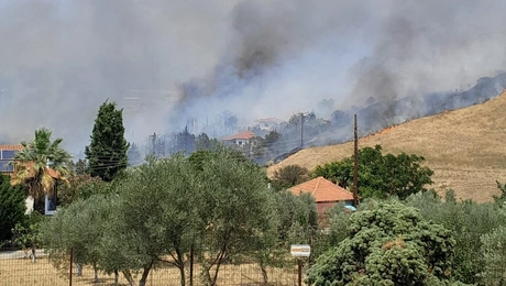 φωτια θεσσαλονικη