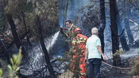 Φωτια στα Γλυκα Νερα