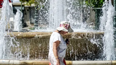 Ζεστός καιρός