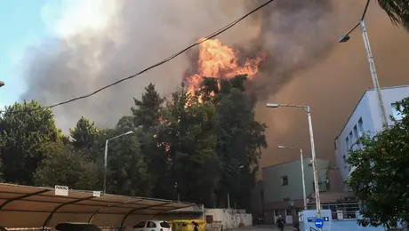 φωτια καραμανδανειο