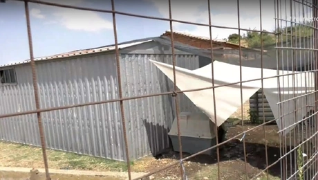 Ο χώρος του καταφύγιου με τα αδέσποτα