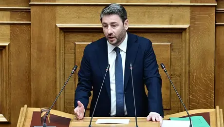 Ο Νίκος Ανδρουλάκης