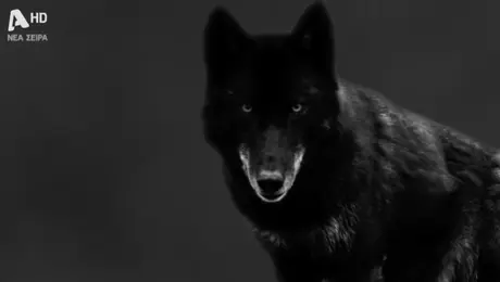 Η σειρα «Ο Τιμωρος» ερχεται στον Alpha