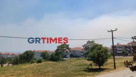 Ορατος ο καπνος απο φωτια στην Πλακα Λιτοχωρου στην Πιερια