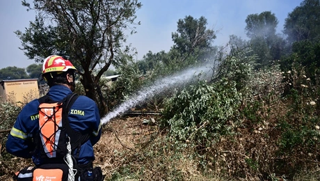 Πυροσβέστης