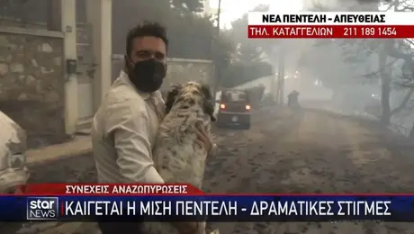 Δημοσιογράφος του Star έσωσε σκύλο