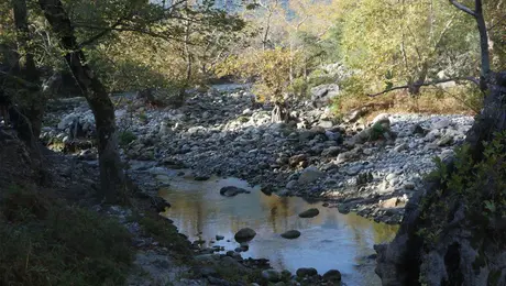 φαραγγι πυροσβεστησ