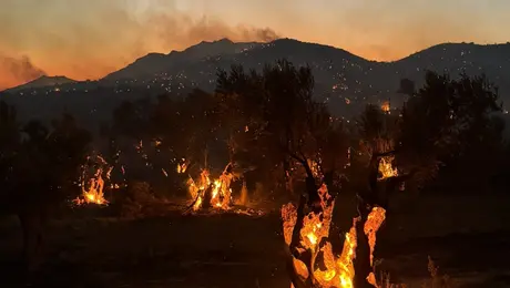 fotia kriti rethymno