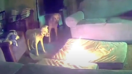 fotia skylos power bank