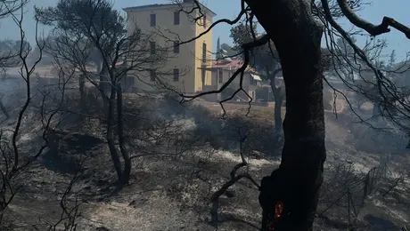 φωτια αττικη