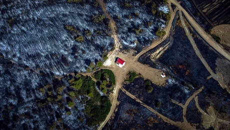 Καμένα μετά τη φωτιά στην Εύβοια