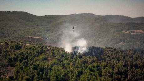 φωτια ευβοια