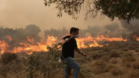 Φωτιά στα Μέγαρα