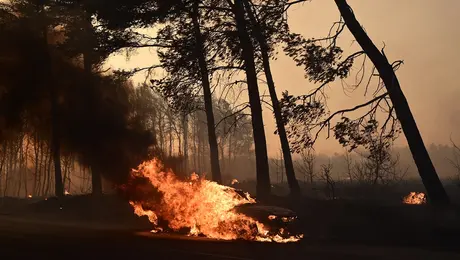 φωτια σε πεντελη και βαρναβα αττικη