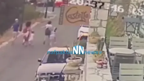 Οικογένεια τρέχει από δέντρο στη Ναύπακτο