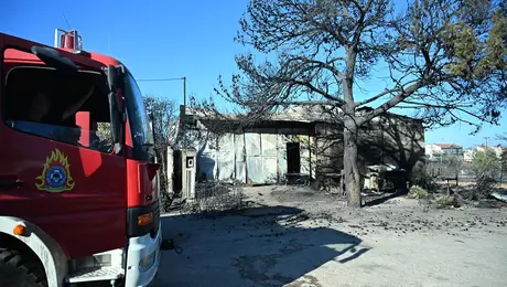 patima-epixeirisi-fotia