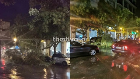 ptoseis_dentron_Thessaloniki