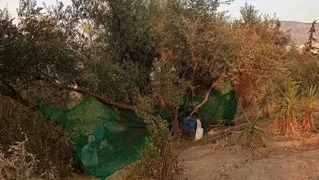 Λόφος Φιλοπάππου