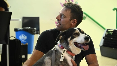 stefanos-kasselakis-skulos