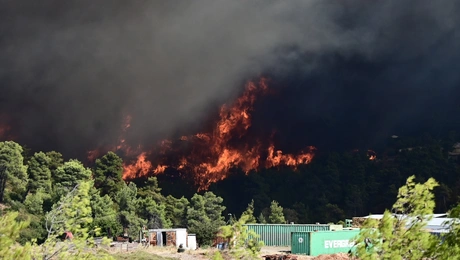 φωτια βαρναβα