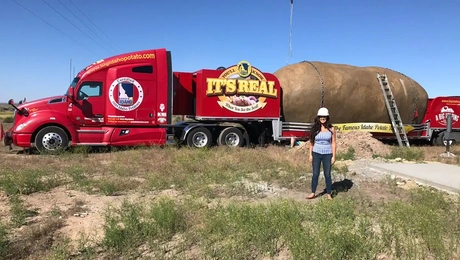 Το Airbnb πατάτα