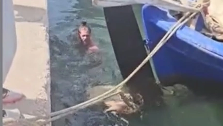 anabussos-kareta-kareta