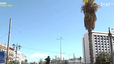 Φοίνικας στη Βασιλίσσης Σοφίας