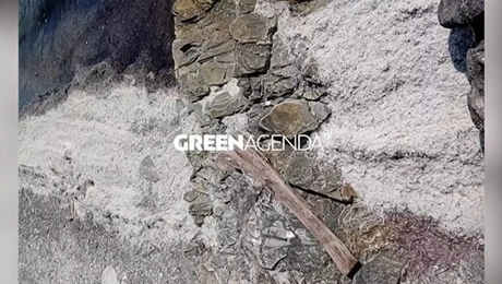 Νεκρά ψάρια στον Βόλο