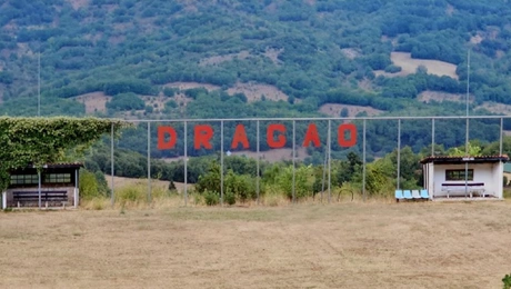 dragao