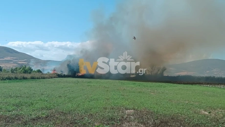 Φωτιά στον Ορχομενό