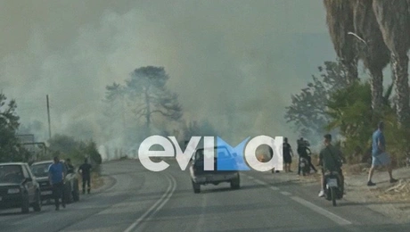 Φωτιά τώρα στην Εύβοια