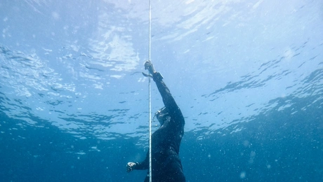 free diving