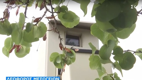 Κάμερα στη Μεσογείων