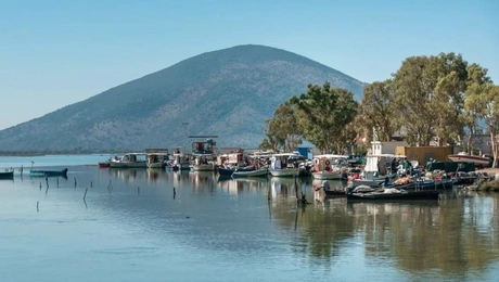 Σαγιαδα στη Θεσπρωτια